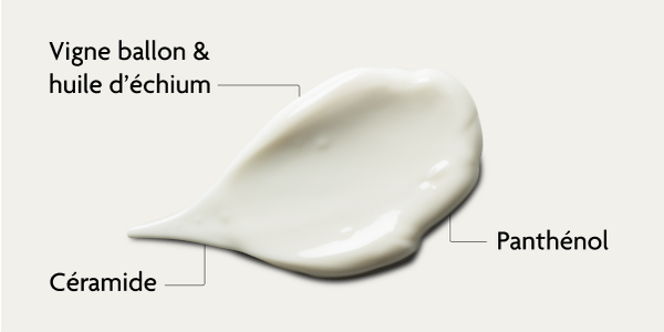 Ingrédients de la crème pour peaux acnéiques SKINTIST
