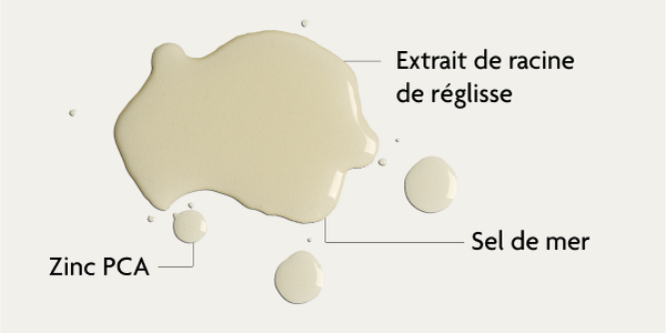 Ingrédients de la lotion tonique SKINTIST