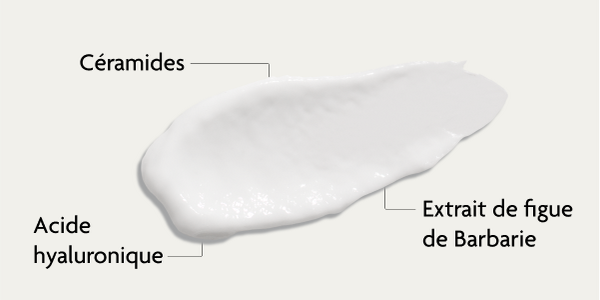 Ingrédients de la crème visage légère SKINTIST Hydro