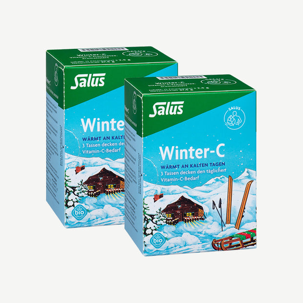 Salus Thé bio aux fruits d'hiver