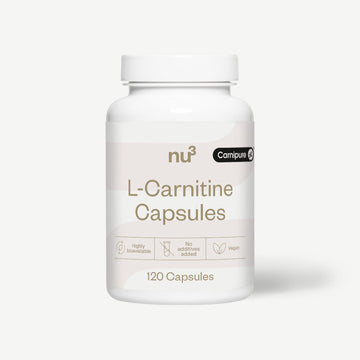 funcion de l carnitina La Carnitina: Definición y Descripción Completa