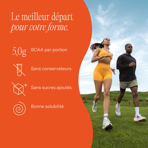 nu3 Performance Whey, Trio classique