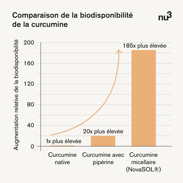 Comparaison de la biodisponibilité de la curcumine