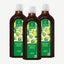 Weleda Jus de bouleau bio